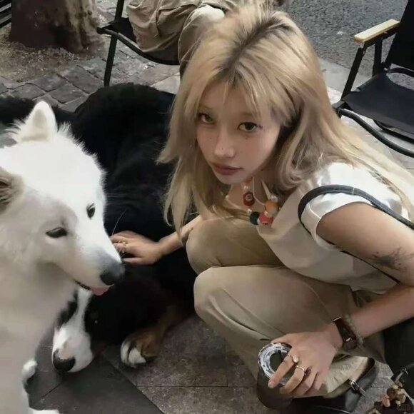 Meet your Posher, Eolita - Picture 1 of 1